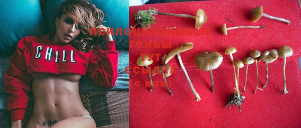 PSILOCYBIN Белокуриха